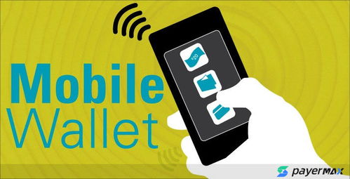 巴基斯坦電子錢包支付通道解析