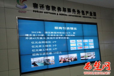 軟件外包服務(wù) 連接市軟件與服務(wù)外包產(chǎn)業(yè)園與知?jiǎng)?chuàng)產(chǎn)業(yè)園的創(chuàng)新紐帶